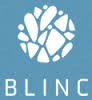 Blinc Sales Institute