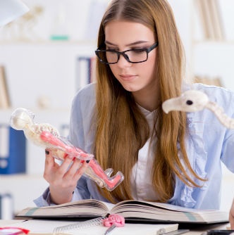 Biologie TSO
