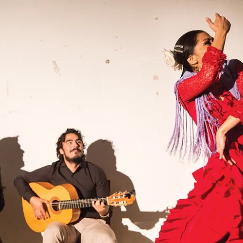Flamencogitaar